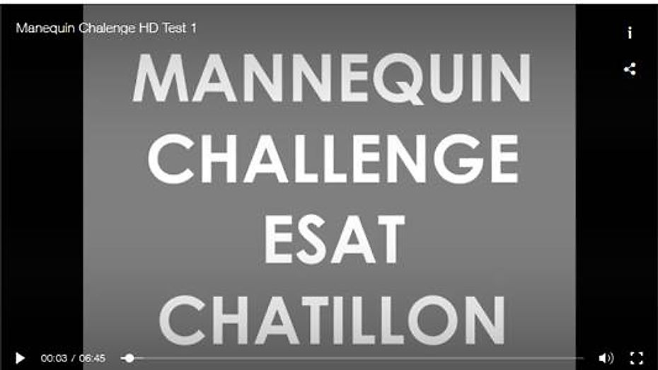 Mannequin Challenge ESAT Chatillon